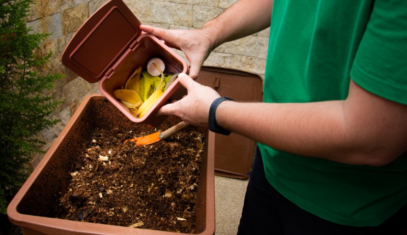 Hojas de té para jardinería:cómo usarlas y por qué