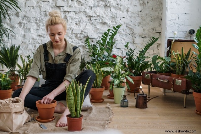 Cómo plantar un jardín en contenedor