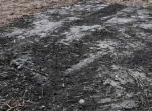 Cómo determinar cuánto mantillo necesita