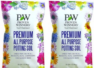 Mejores tierras para macetas: Guía experta para plantas en contenedores