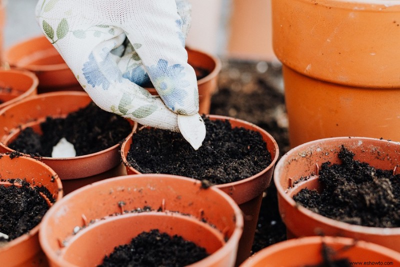 ¿A qué profundidad debe plantar las semillas?