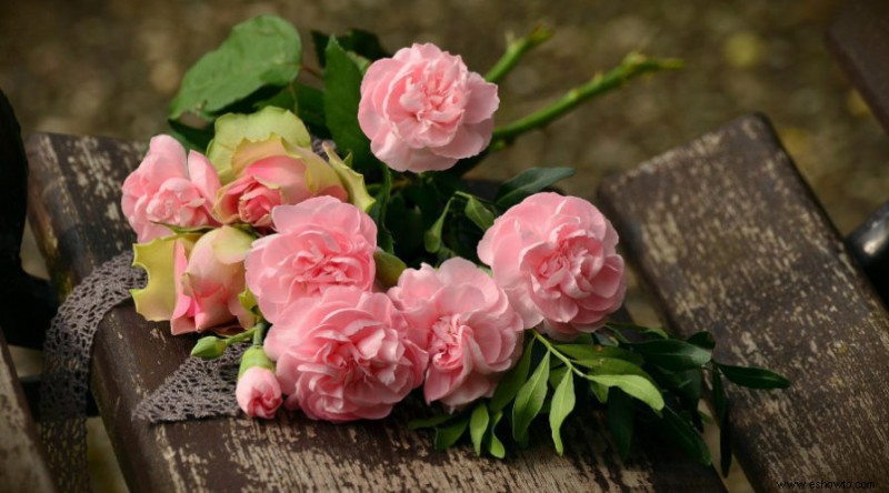 Evite estos errores comunes en el cultivo de rosas
