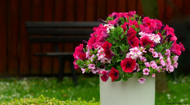 Qué flores deberían tener cabeza muerta