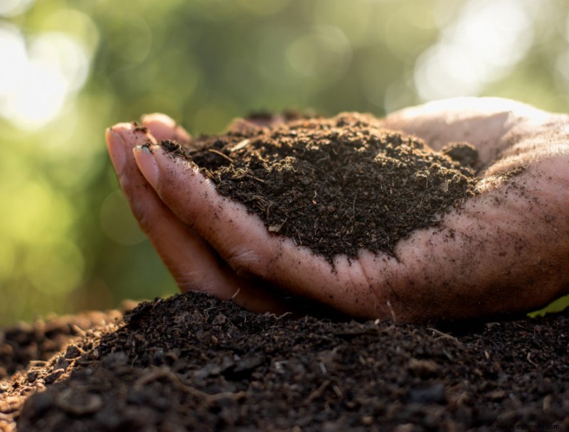 ¿Por qué pone tenedores en su jardín?