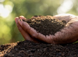 ¿Por qué poner tenedores en el jardín? 6 usos prácticos y sorprendentes