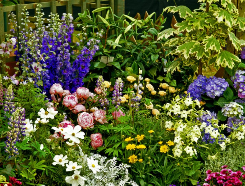 5 ideas de jardinería alrededor de los árboles