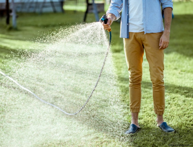 5 consejos para el mantenimiento de jardines de verano