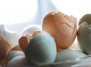 Cómo Utilizar Cáscaras de Huevo en tu Jardín: Fertilizante Natural y Efectivo