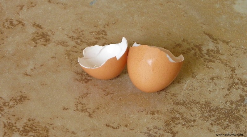 Cómo usar cáscaras de huevo en su jardín