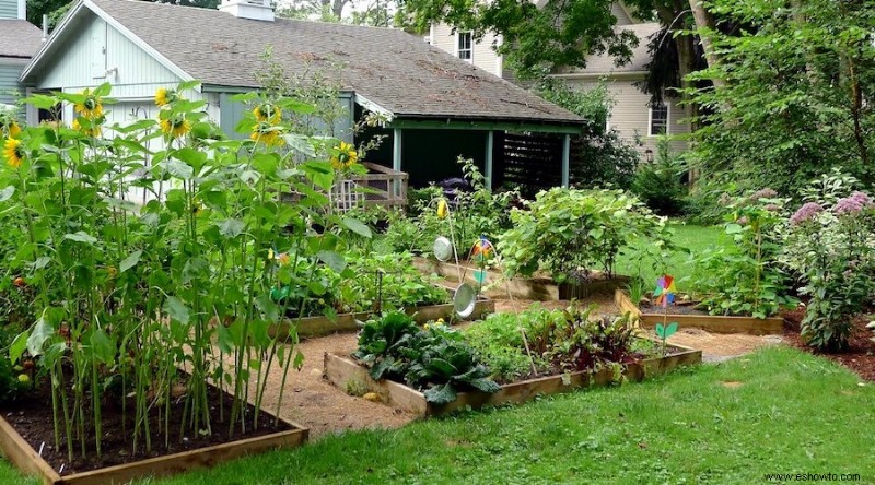 15 ideas de huertas en el patio trasero para principiantes