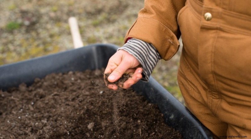 Cómo cultivar pepinos en contenedores