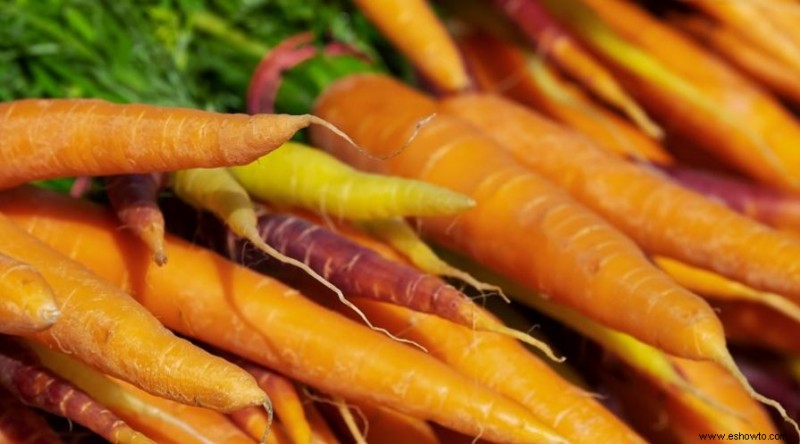 Cómo cultivar zanahorias en contenedores