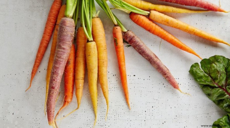 Cómo cultivar zanahorias en contenedores