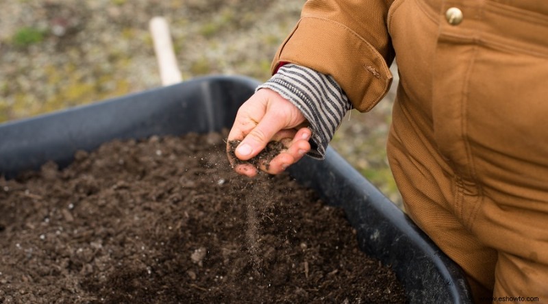 Por qué la reutilización de tierra de jardín en macetas puede dañar sus plantas