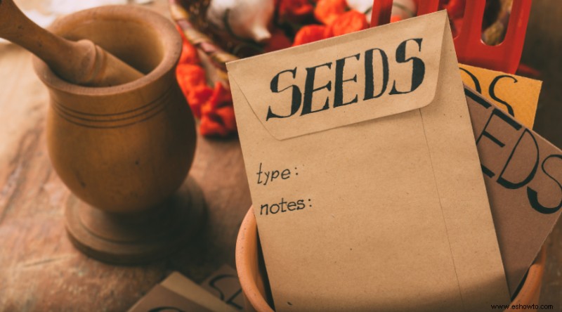 9 formas de almacenar semillas