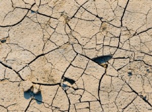 ¿Qué es un suelo bien drenado? Guía experta para un jardín saludable