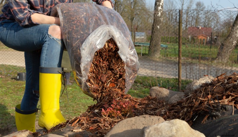 Cómo elegir el mantillo adecuado para su jardín