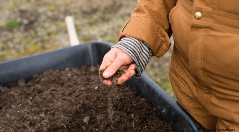 Cómo la peor sección de su jardín puede convertirse en el mejor jardín