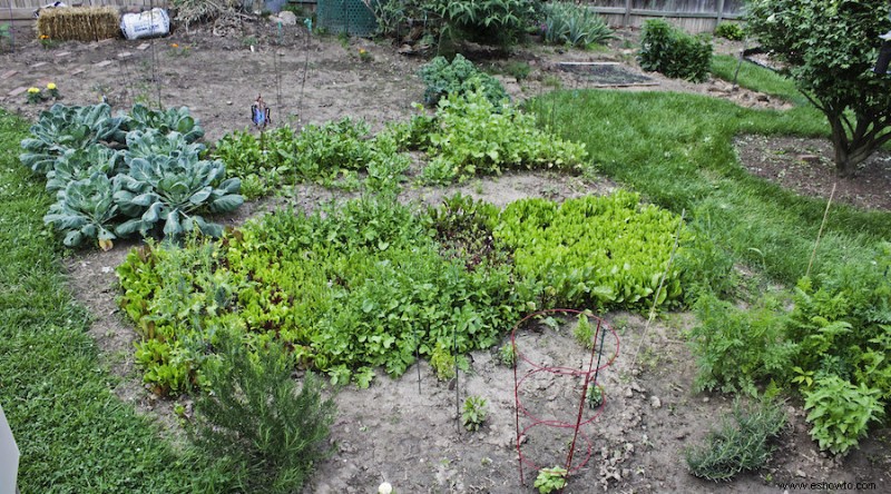 Cómo la peor sección de su jardín puede convertirse en el mejor jardín