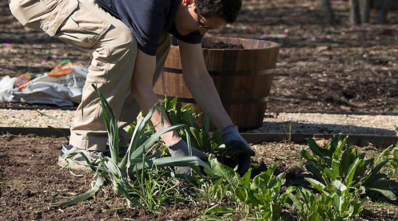 Cómo la peor sección de su jardín puede convertirse en el mejor jardín