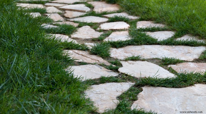 Cómo la peor sección de su jardín puede convertirse en el mejor jardín