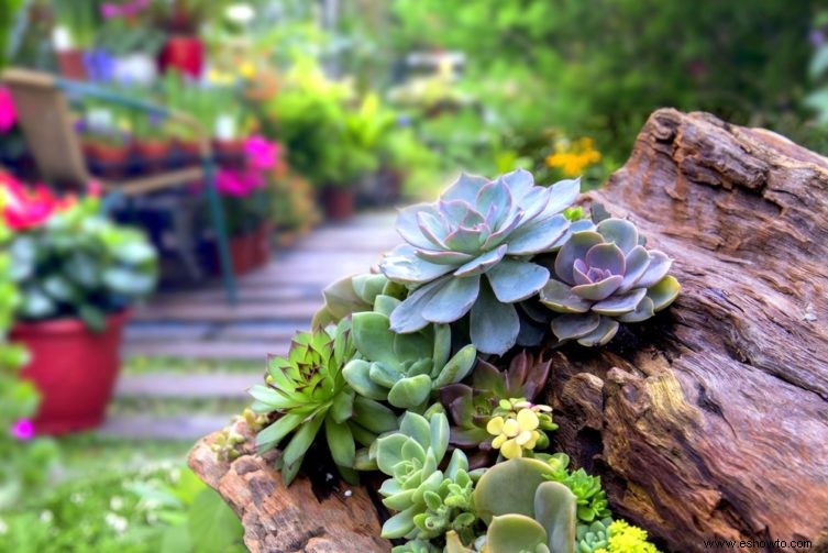 15 ideas para el jardín de rocas