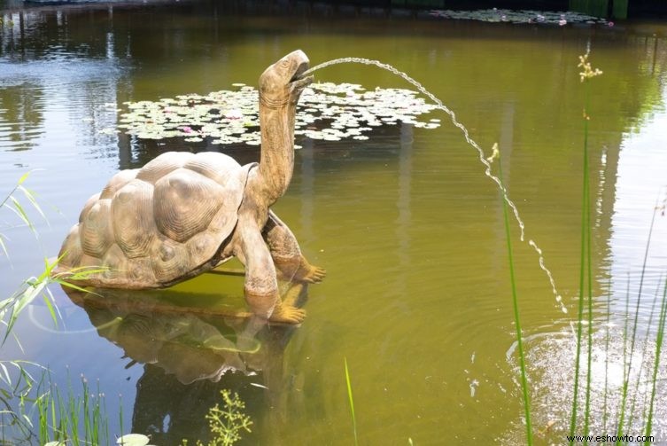 15 ideas para el jardín de rocas