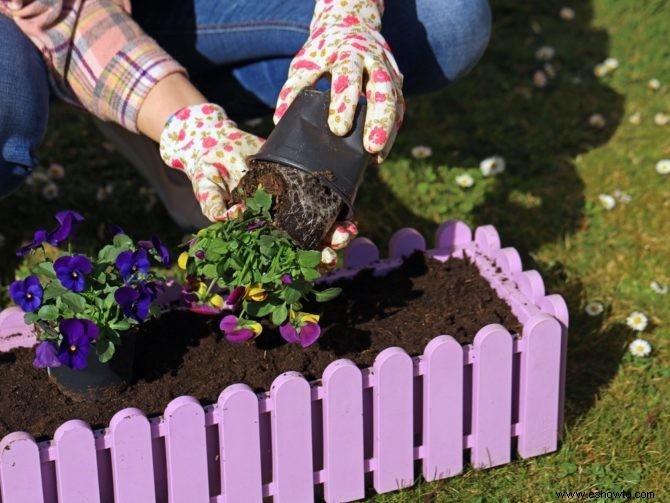 Cómo plantar una jardinera