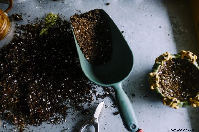 Cómo plantar una jardinera