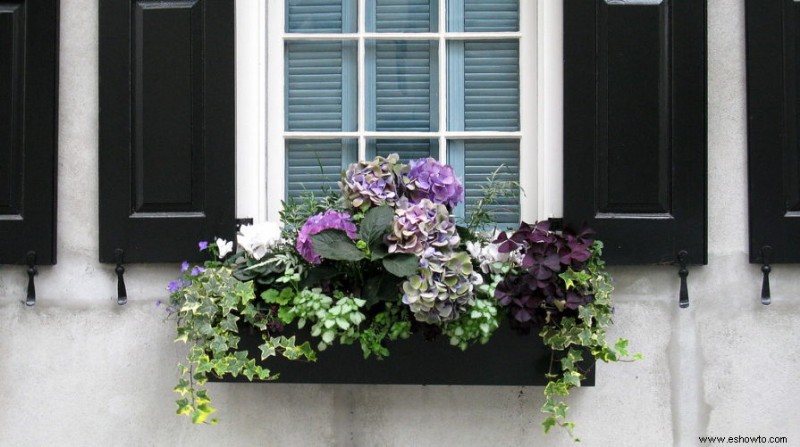 Cómo plantar una jardinera