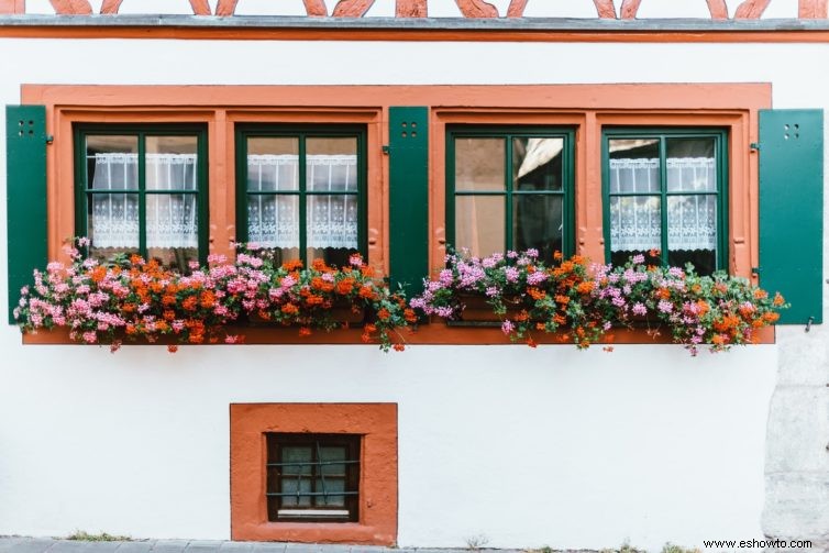 Cómo plantar una jardinera