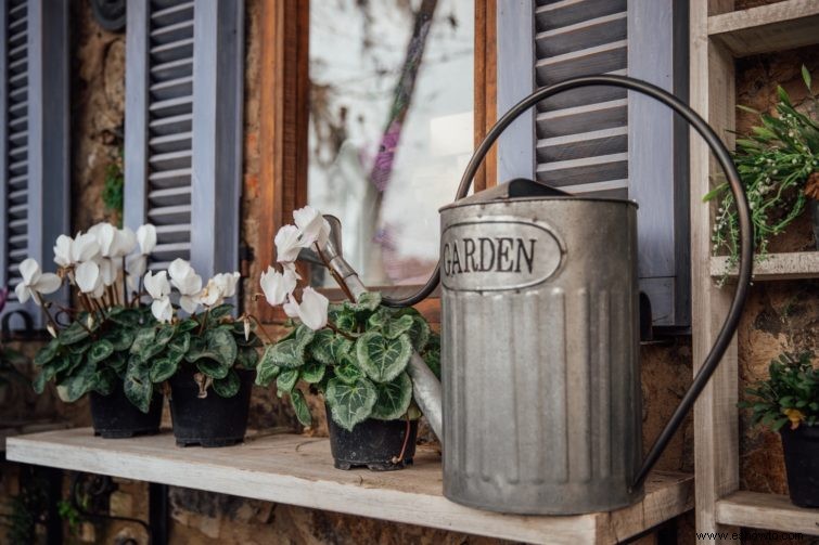 Cómo plantar una jardinera