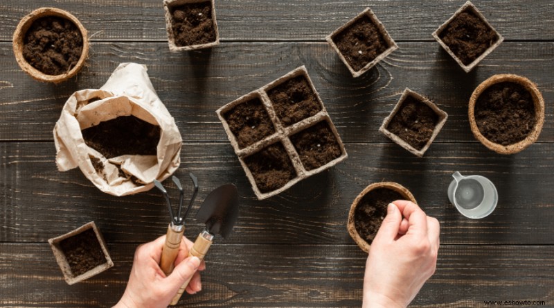 Todo lo que necesita saber sobre la plantación de manzanos