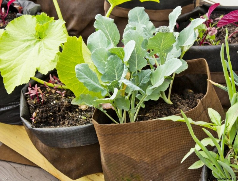 Cinco razones para probar la jardinería con bolsas de cultivo