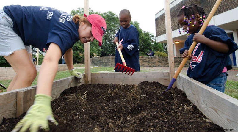 Compost de hongos:¿qué es y cómo usarlo?