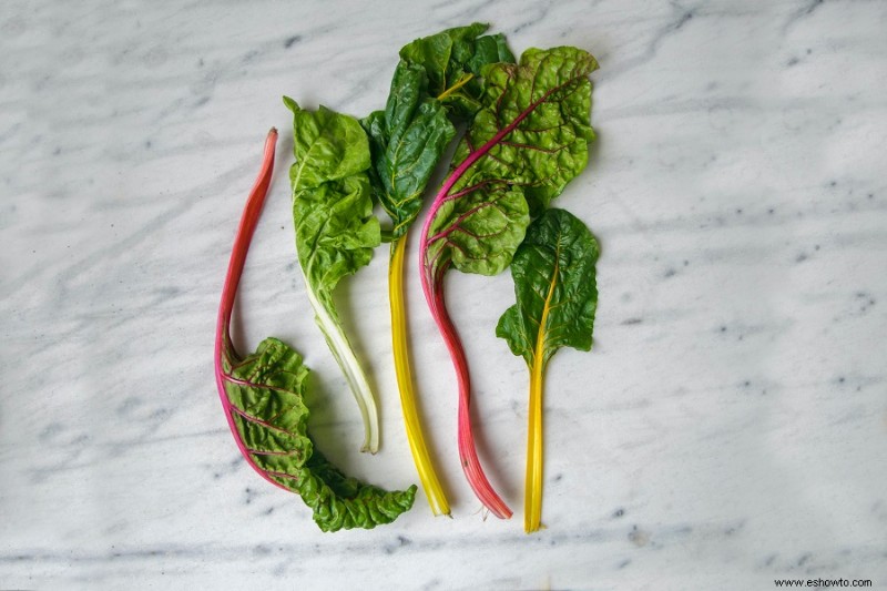 ¿Cuál es la mejor hora del día para cosechar las verduras?