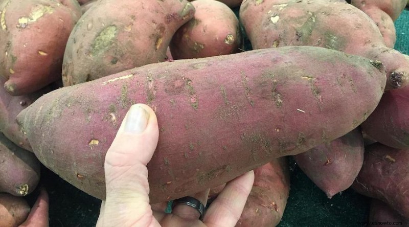 Cómo cultivar batatas en contenedores