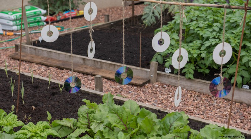 9 secretos de jardinería que los expertos nunca te cuentan