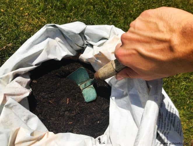 ¿Qué tierra para macetas es mejor para las plantas de serpientes?