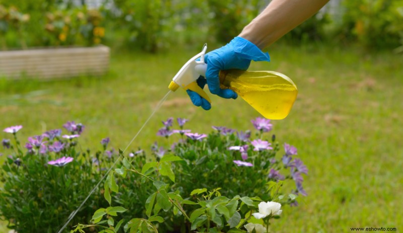 Cómo crear un hábitat de vida silvestre en su patio trasero