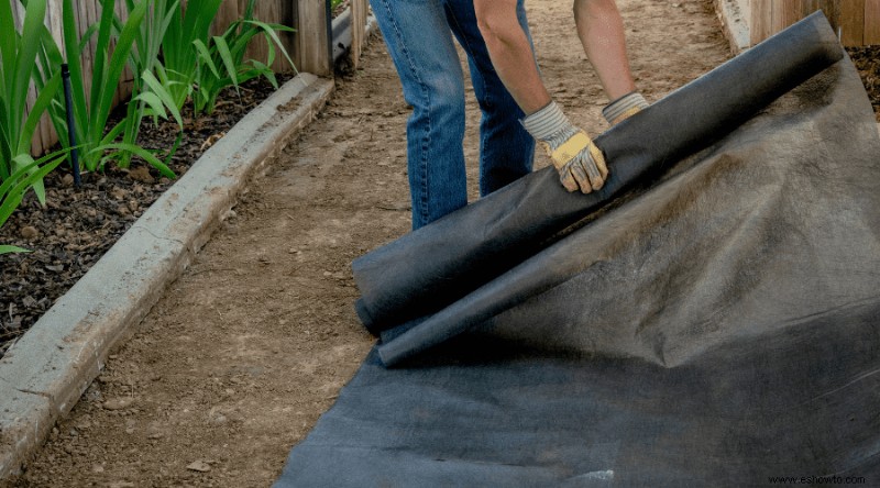 3 formas de eliminar las malas hierbas de la grava