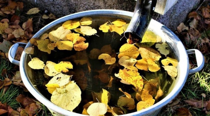 Cuatro formas de recolectar agua de lluvia