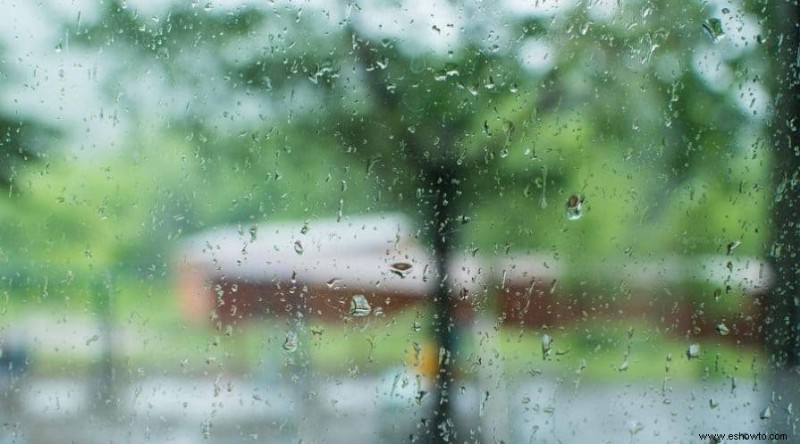 Cuatro formas de recolectar agua de lluvia