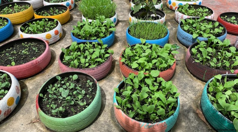 8 ideas para jardineras elevadas que puedes hacer tú mismo