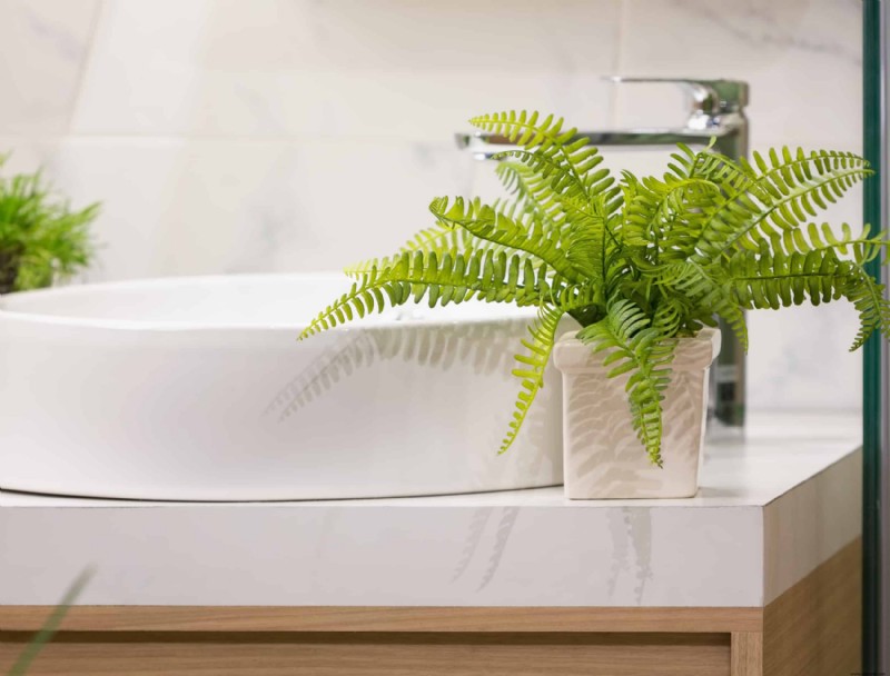 8 plantas de interior que prosperan en su baño húmedo