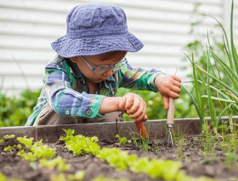 5 maneras de conservar el suelo de su jardín
