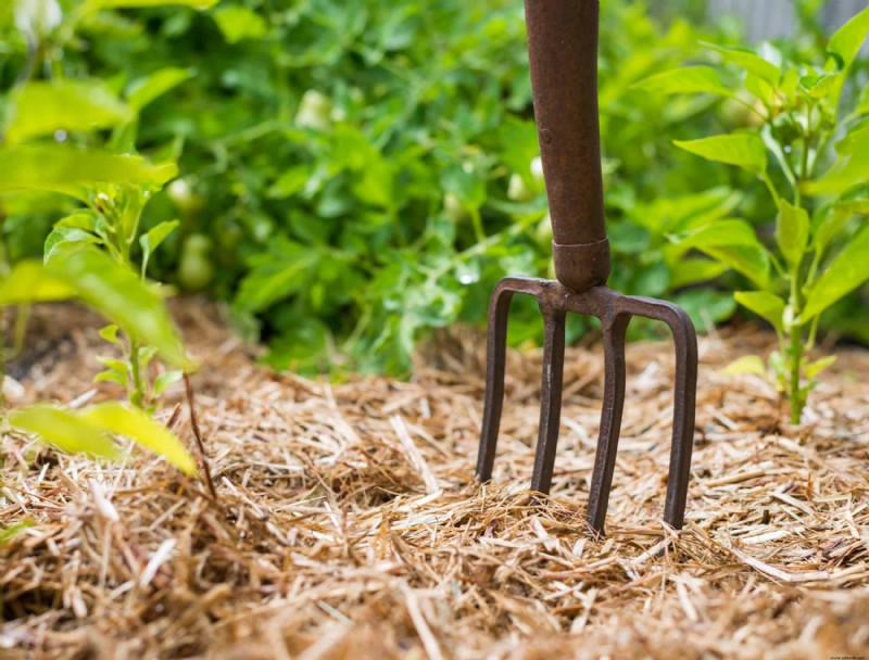 5 maneras de conservar el suelo de su jardín