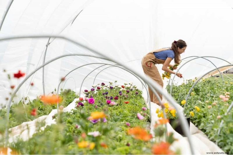 Cómo hacer tus propios aros de jardín