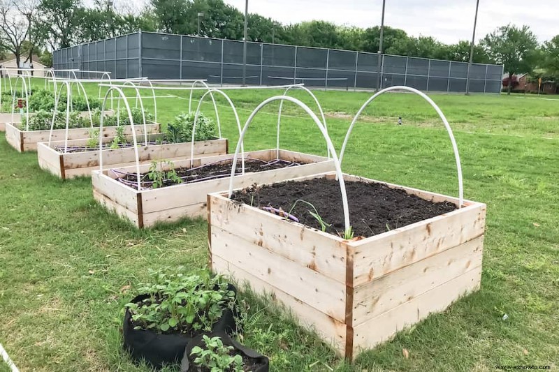 Cómo hacer tus propios aros de jardín