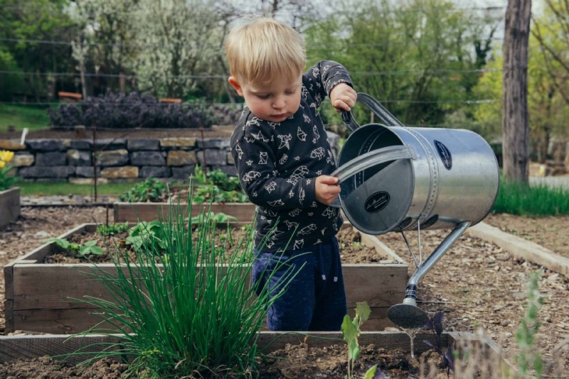 5 consejos para la jardinería en camas elevadas